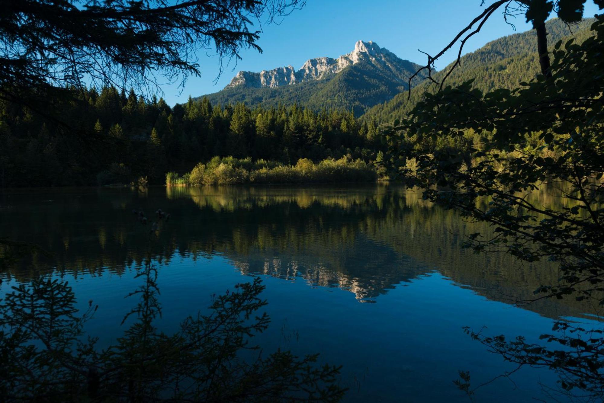ロイテ Alpenhof Waengleアパートホテル エクステリア 写真