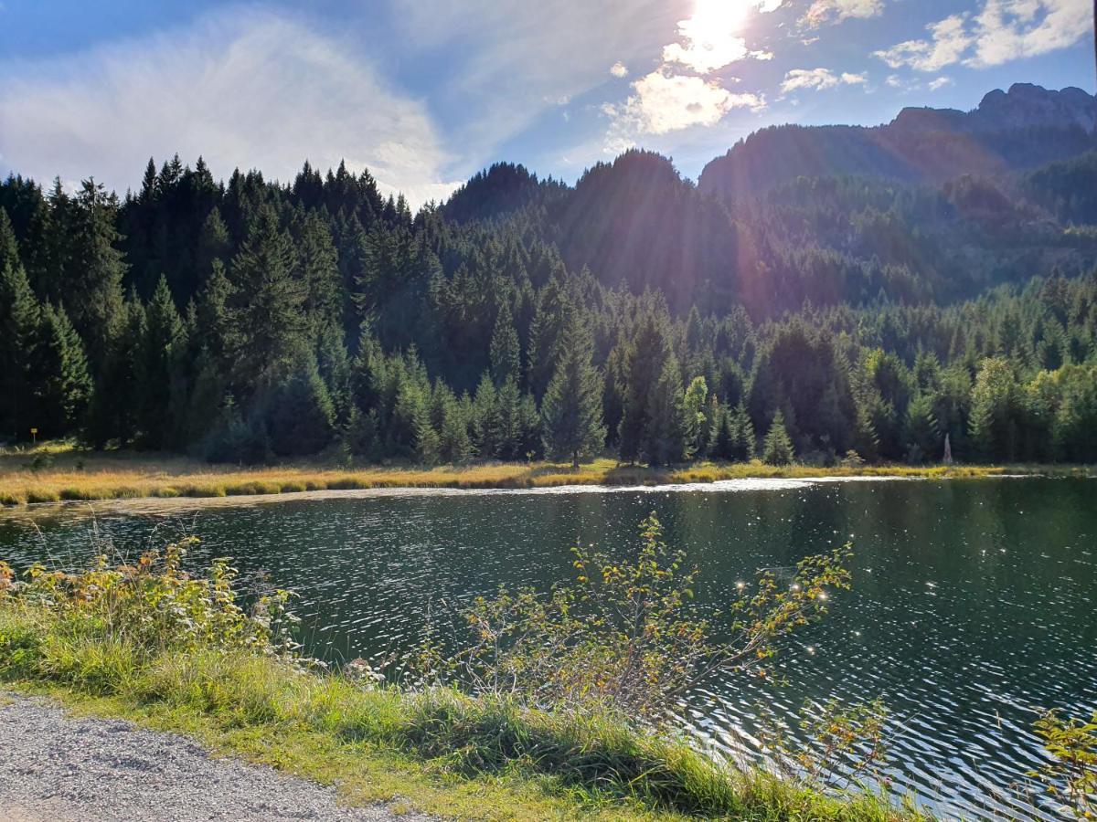 ロイテ Alpenhof Waengleアパートホテル エクステリア 写真