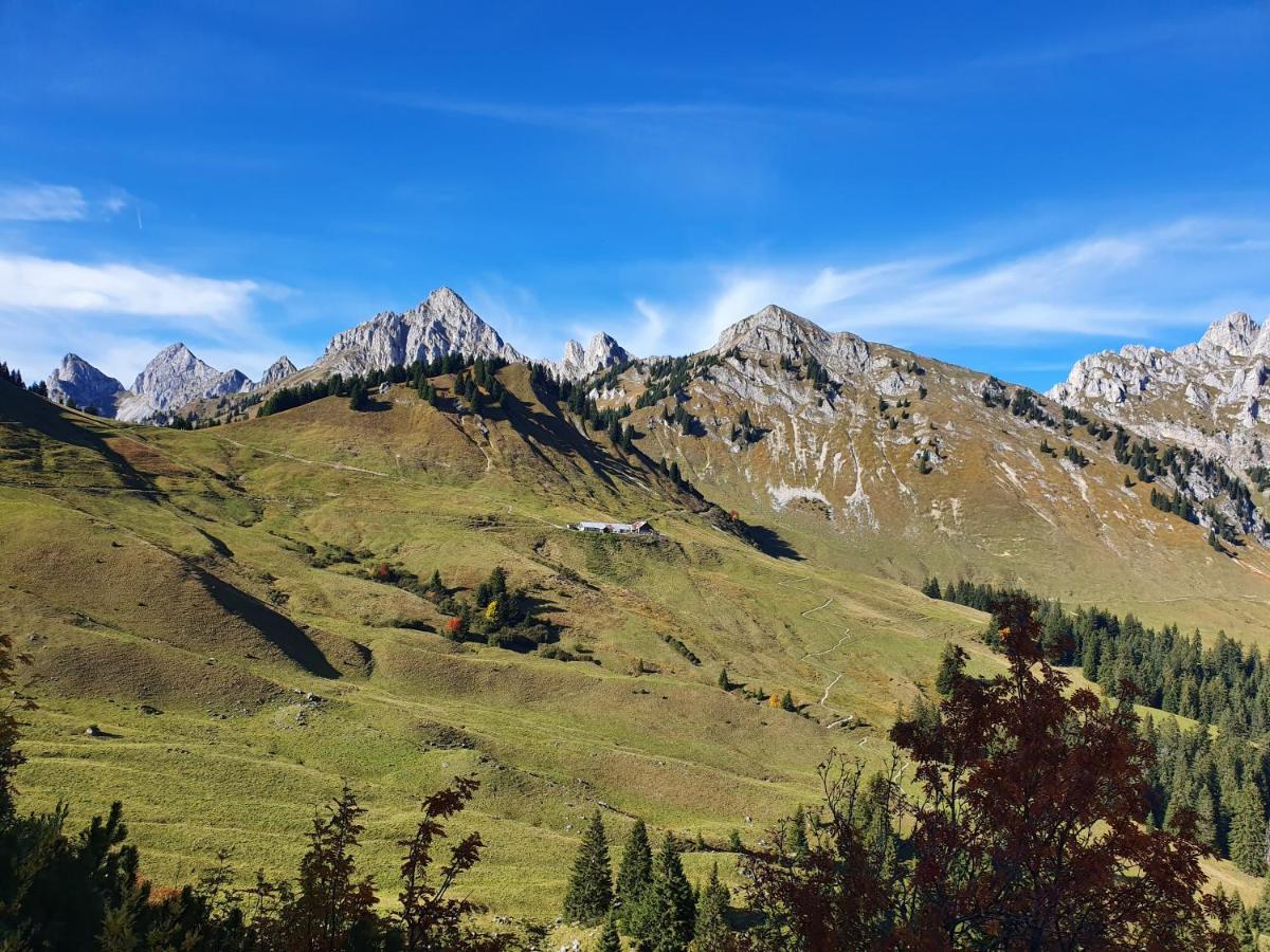 ロイテ Alpenhof Waengleアパートホテル エクステリア 写真